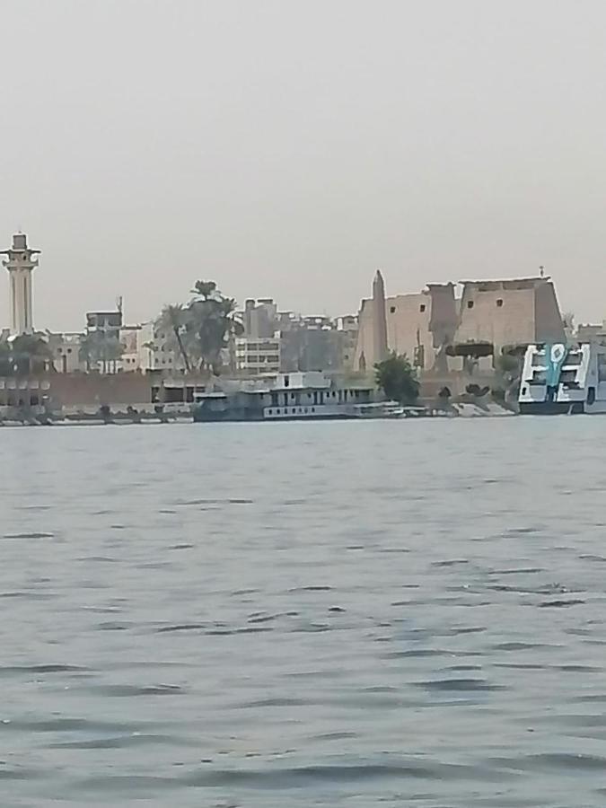 Winter Guest House Luxor Exterior foto